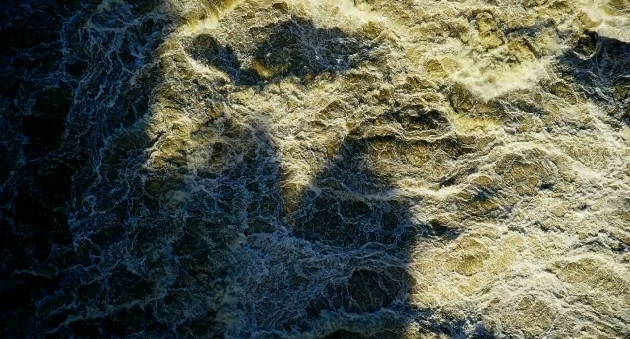 Wild Africa screenshot 3