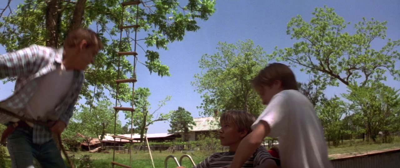 Wild America screenshot 1