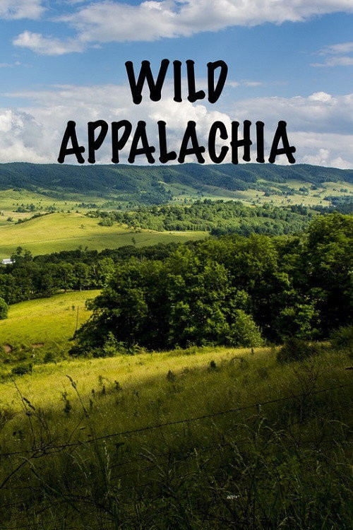 Wild Appalachia (2013) poster