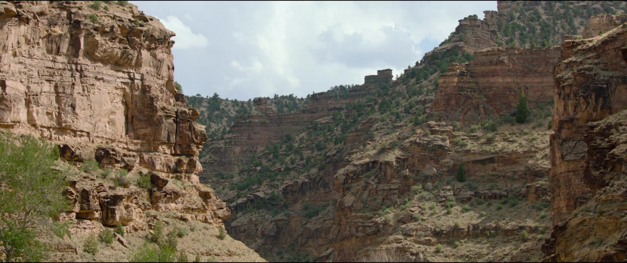 Wild Beauty: Mustang Spirit of the West screenshot 1