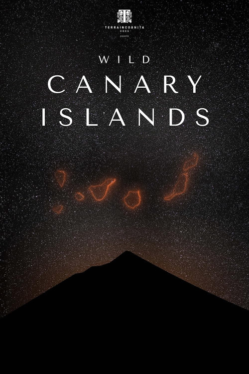 Wild Canary Islands (2021) poster