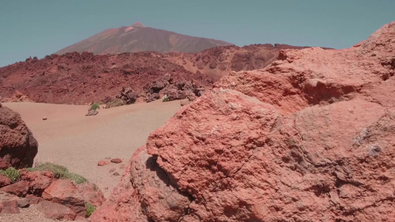 Wild Canary Islands screenshot 2