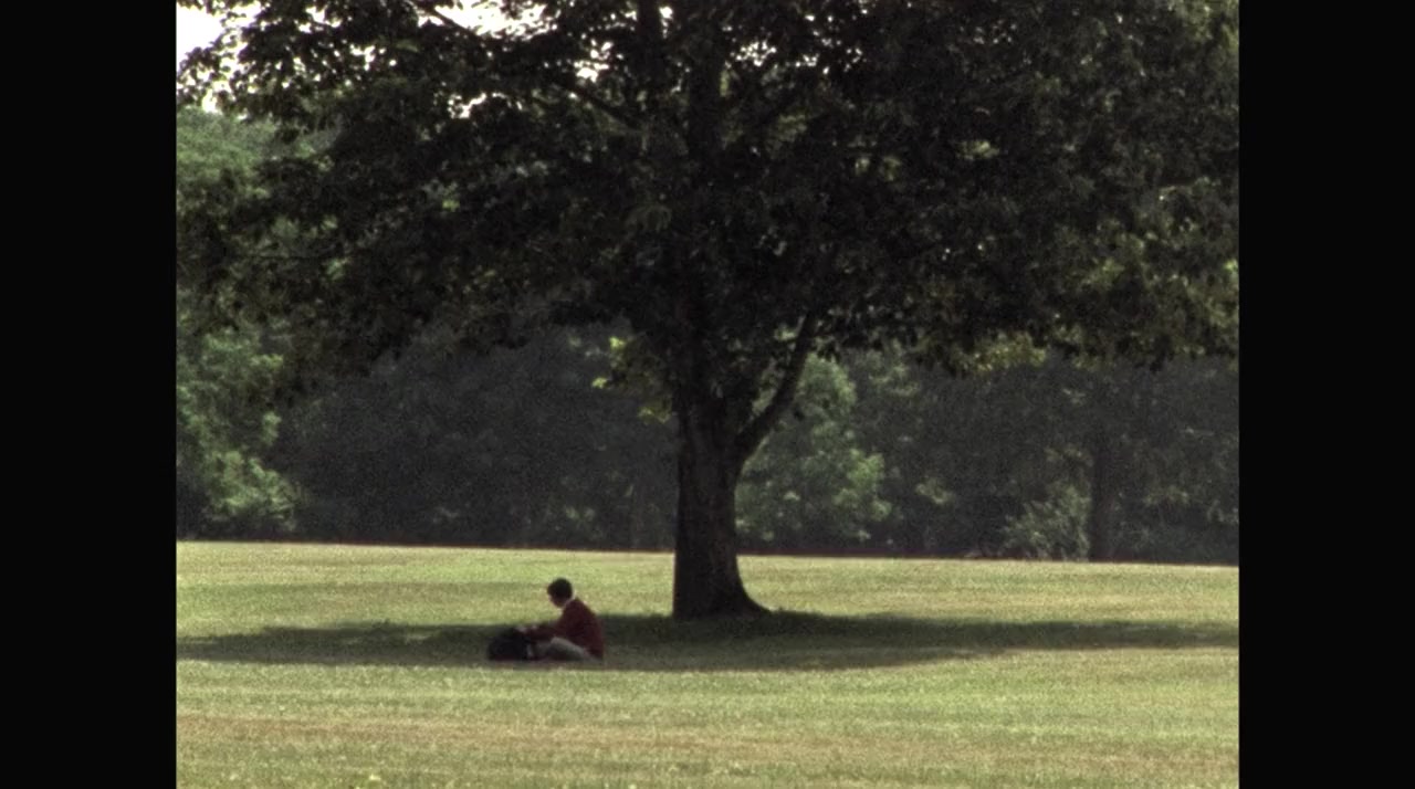 Wild Combination: A Portrait of Arthur Russell screenshot 3