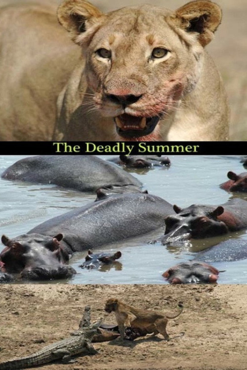 Deadly Summer (2006) poster