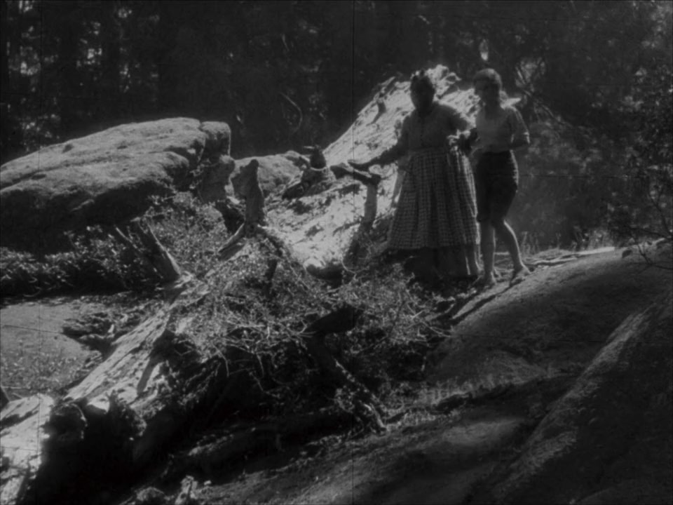 Wild Girl screenshot 1
