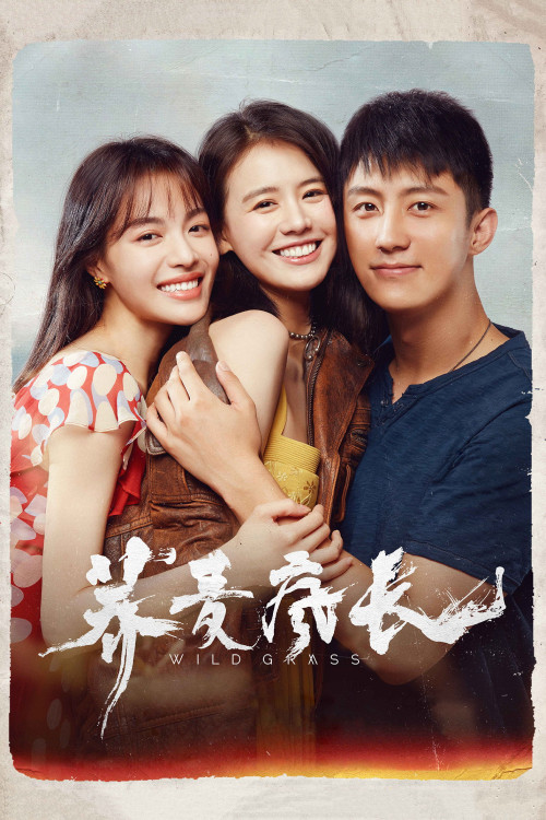 Qiao mai feng zhang (2020) poster