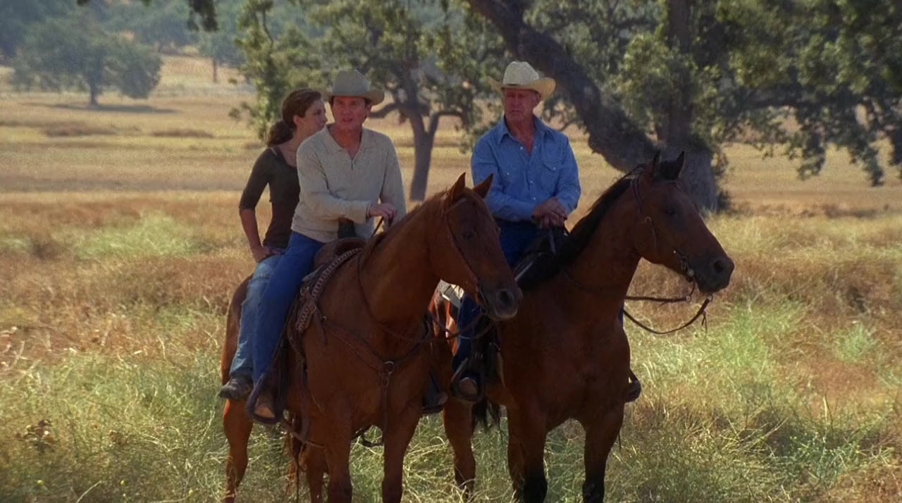 Wild Hearts screenshot 1