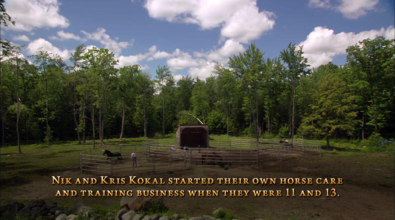 Wild Horse, Wild Ride screenshot 2
