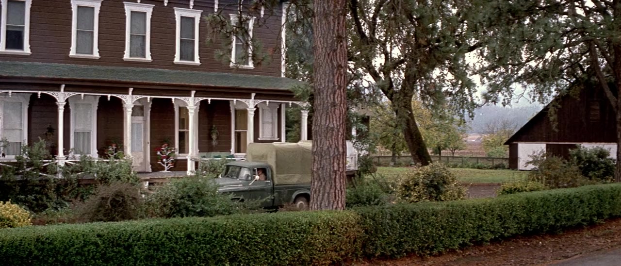 Wild in the Country screenshot 1