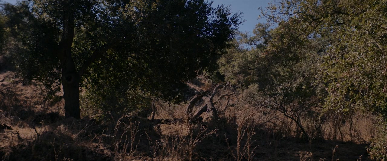 Wild Indian screenshot 1
