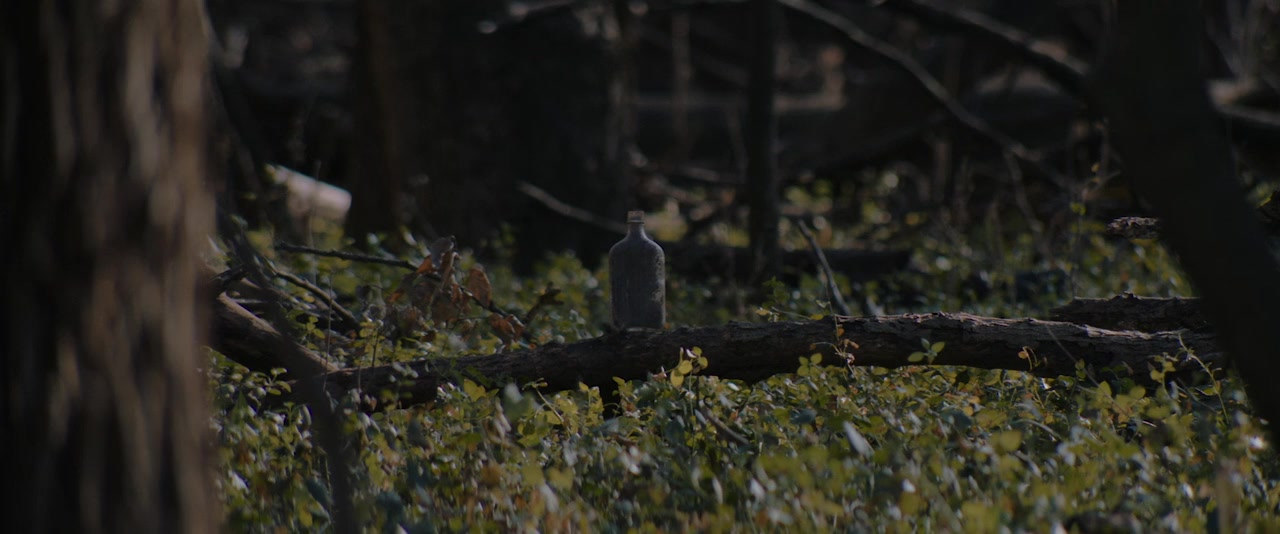 Wild Indian screenshot 3