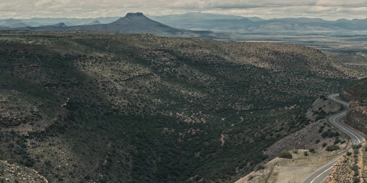 Wild Is the Wind screenshot 1