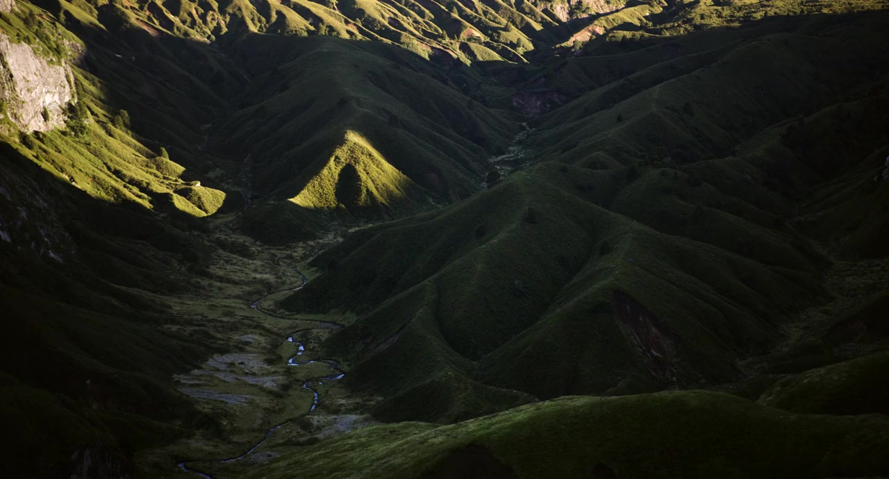 Wild Life screenshot 2