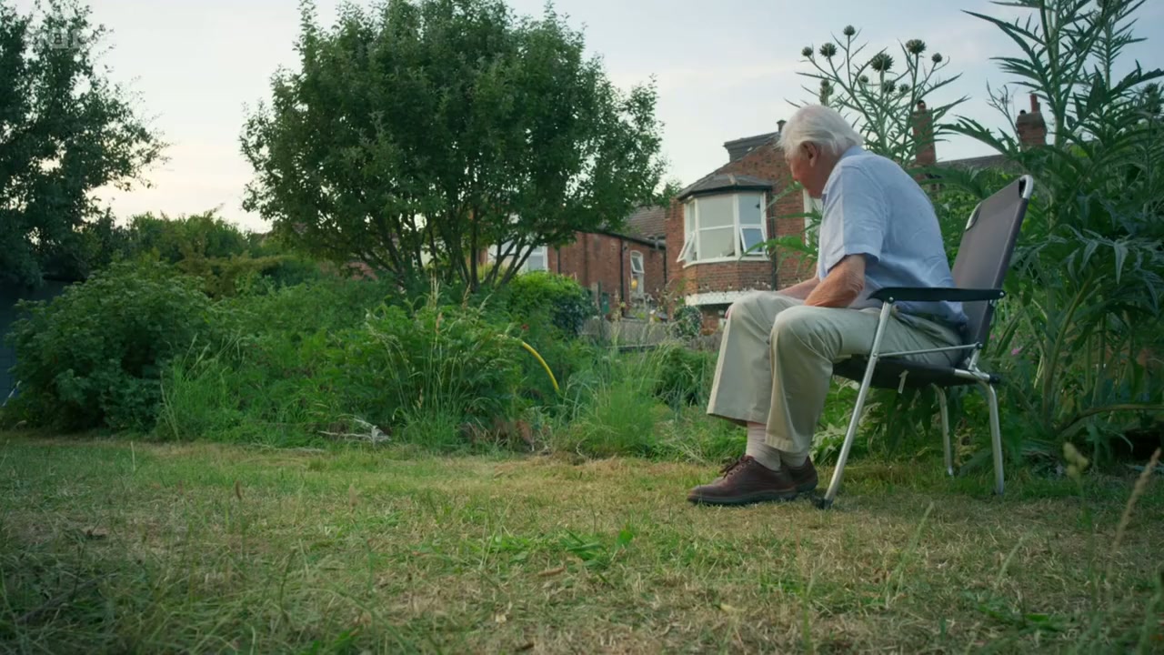 Wild London screenshot 1