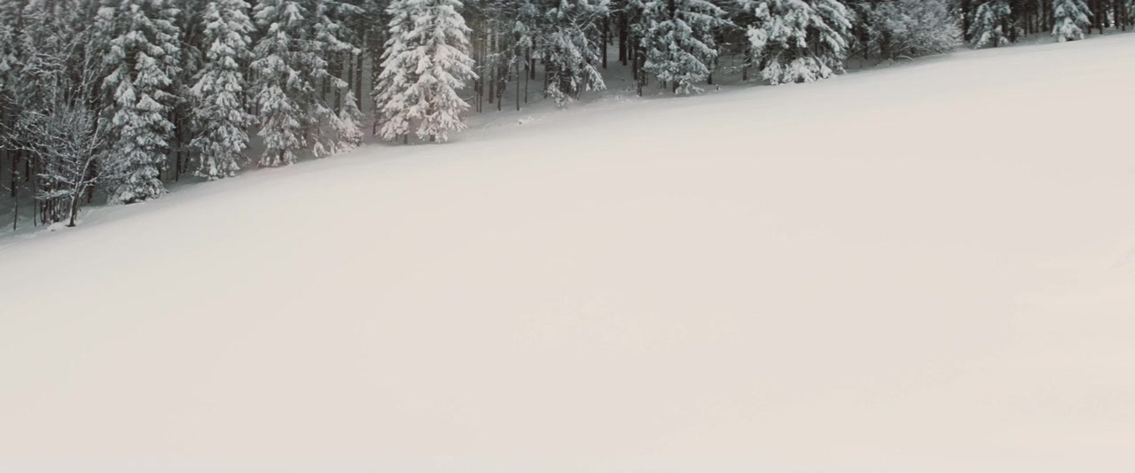 Wilde Maus screenshot 2