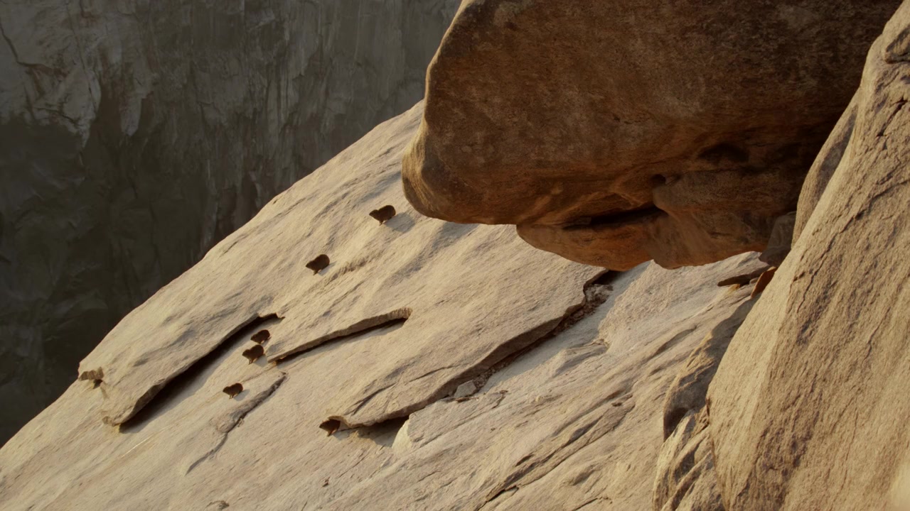 Namibia's Desert Kingdom screenshot 2
