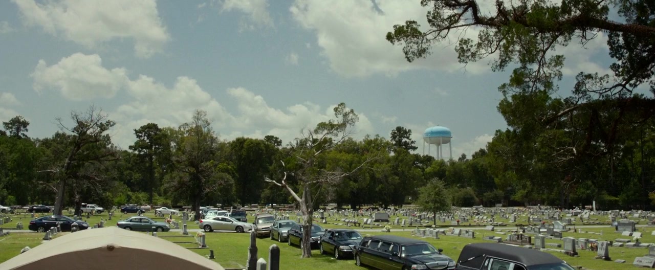 Wild Oats screenshot 1