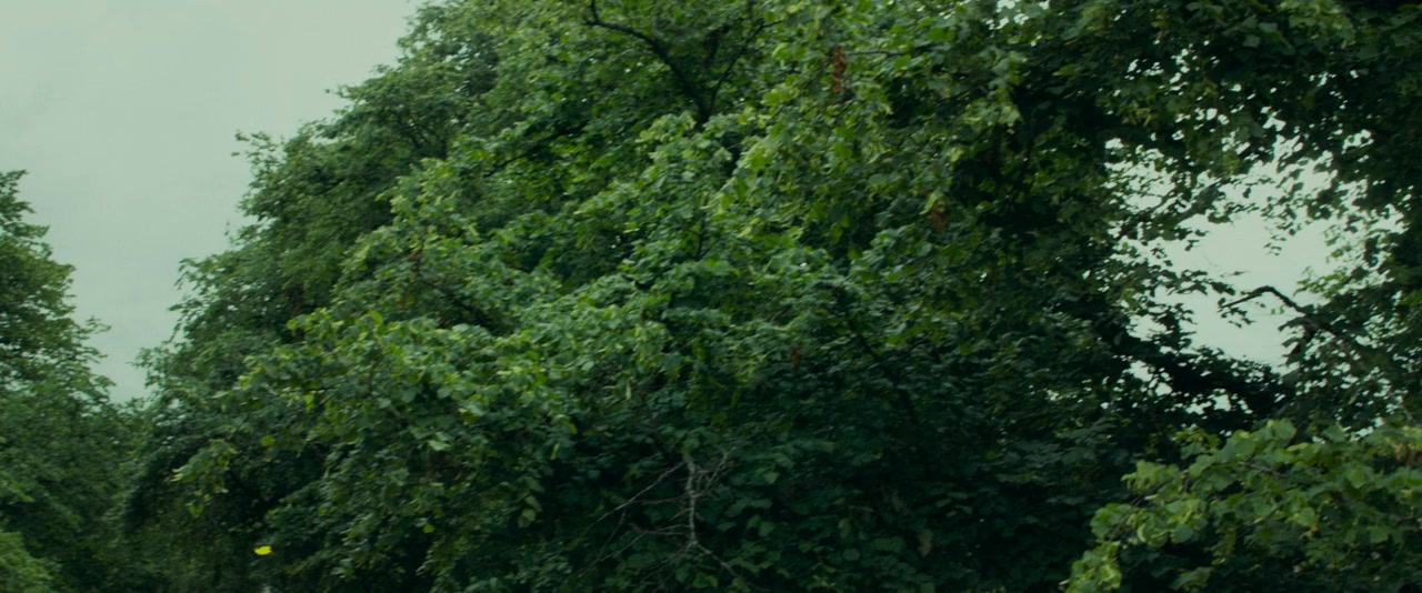 Wild Rose screenshot 1