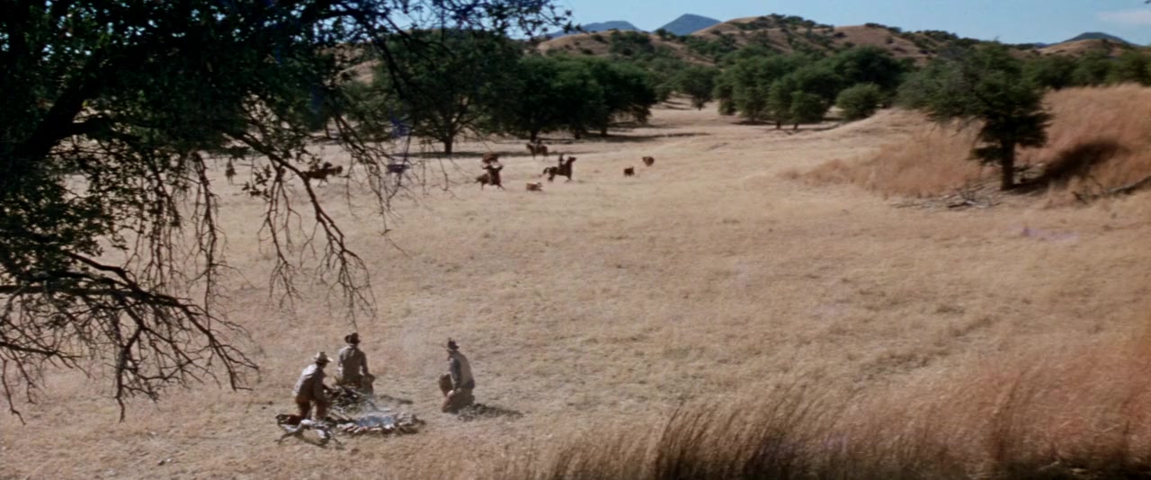 Wild Rovers screenshot 2