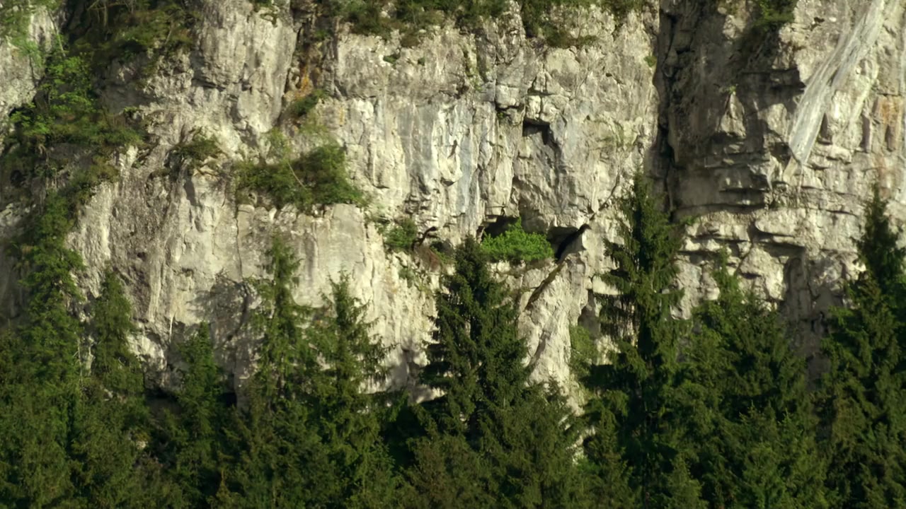 Wilde Slowakei screenshot 3