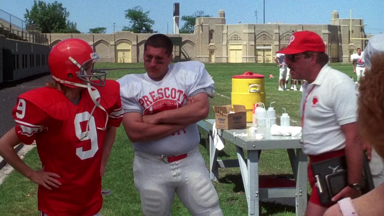 Wildcats screenshot 1