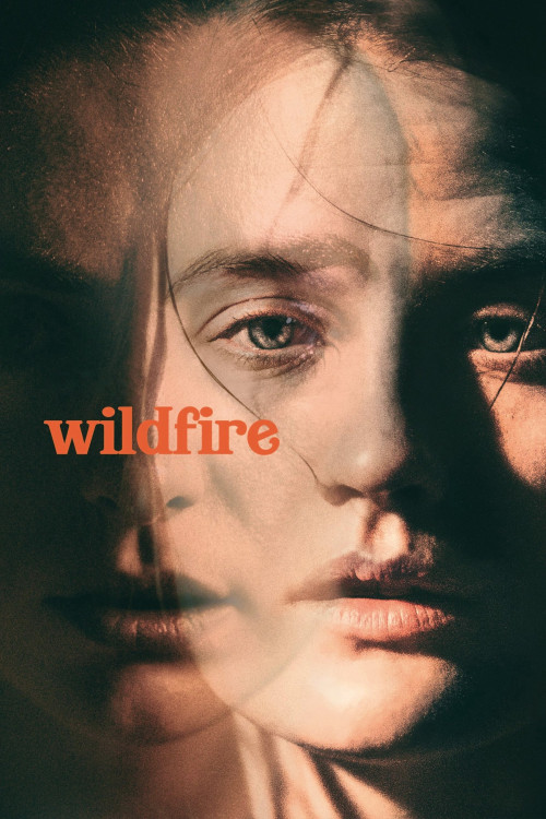 Wildfire (2020) poster