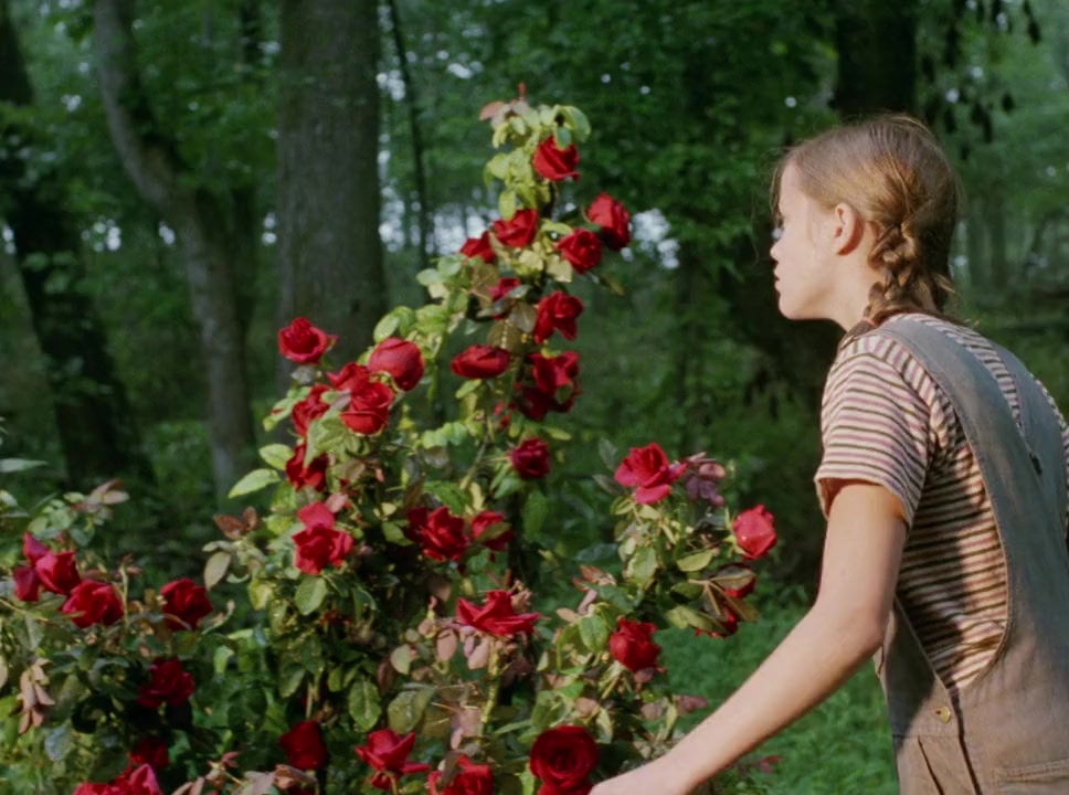 Wildflower screenshot 2