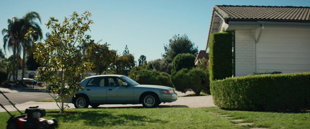 Wildflower screenshot 2