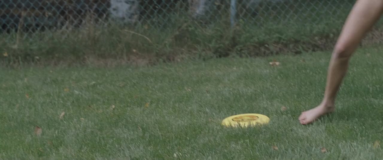 Wildlike screenshot 2
