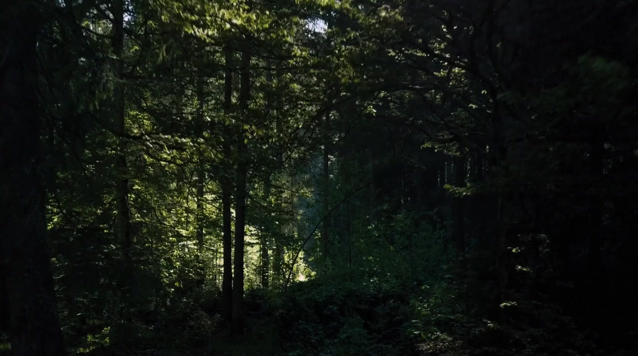 Wildling screenshot 1