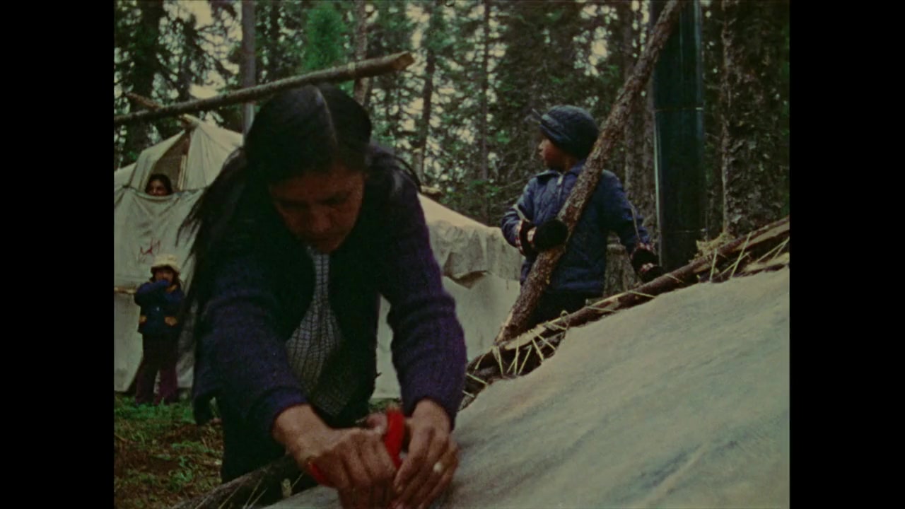 Wilfred Buck screenshot 3