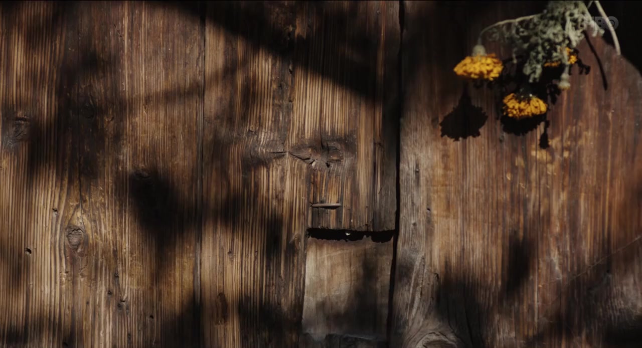 Willow screenshot 2