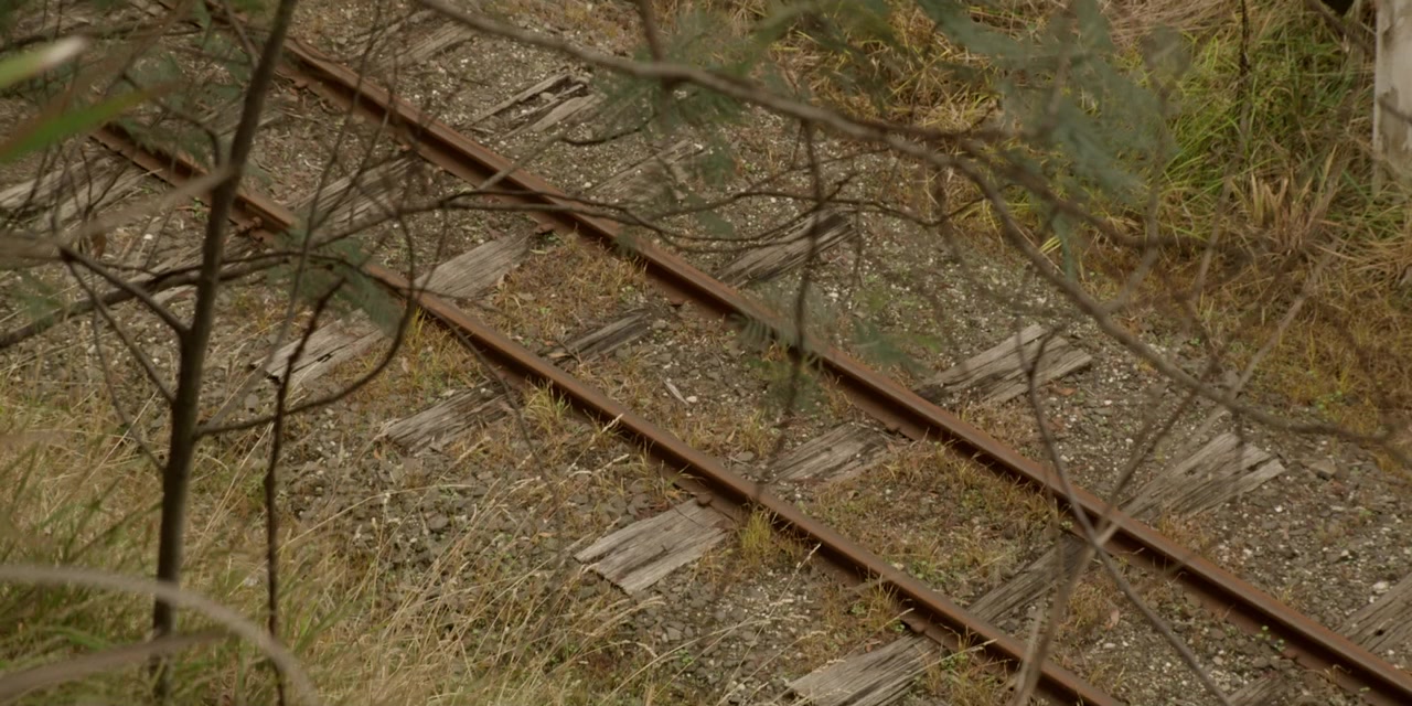 William Kelly's War screenshot 1