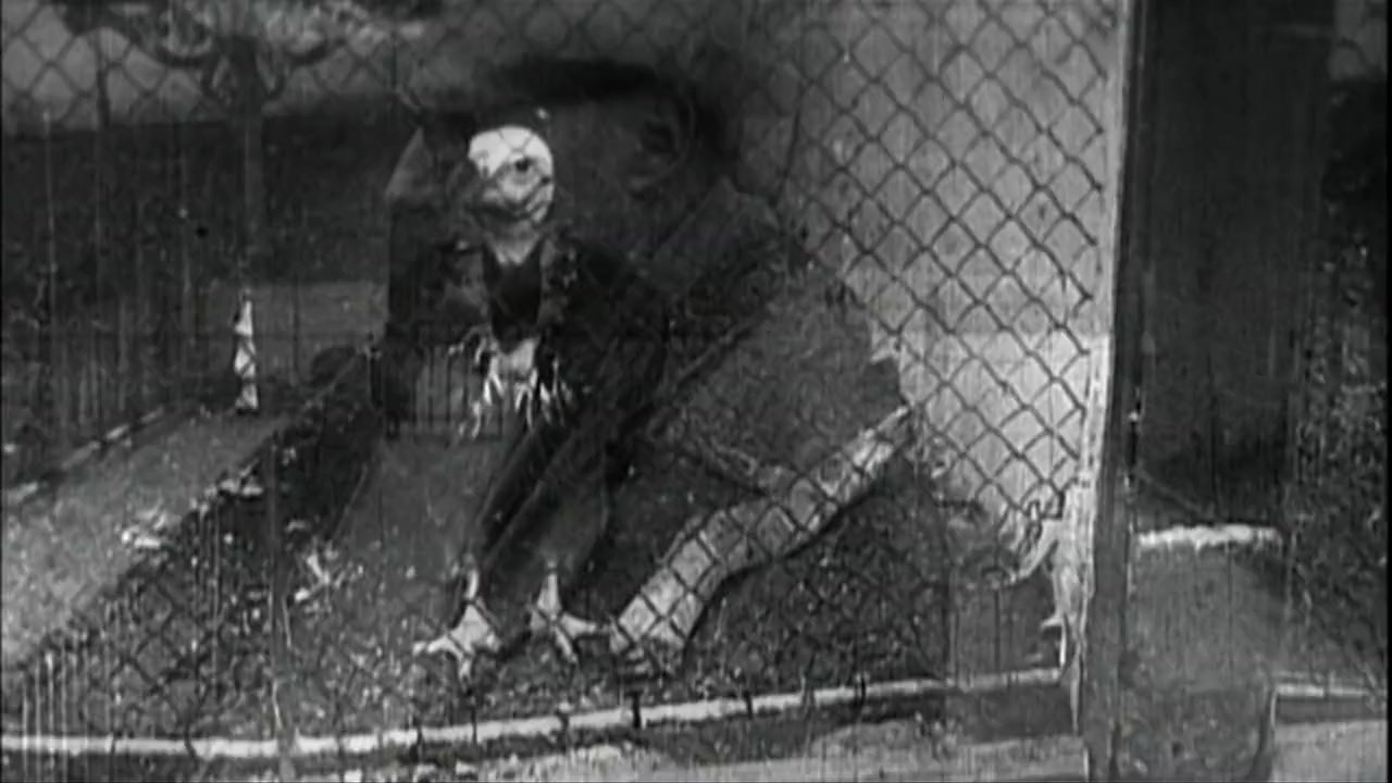 William S. Burroughs: A Man Within screenshot 3