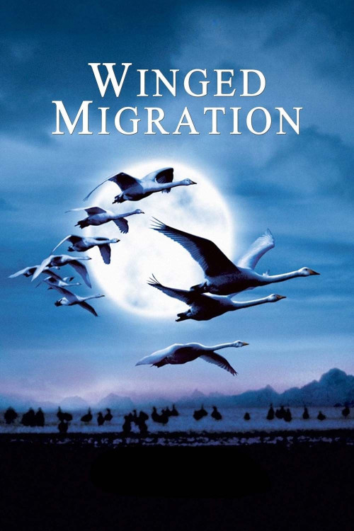 Le peuple migrateur (2001) poster