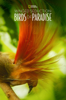 Winged Seduction: Birds of Paradise (2012) poster