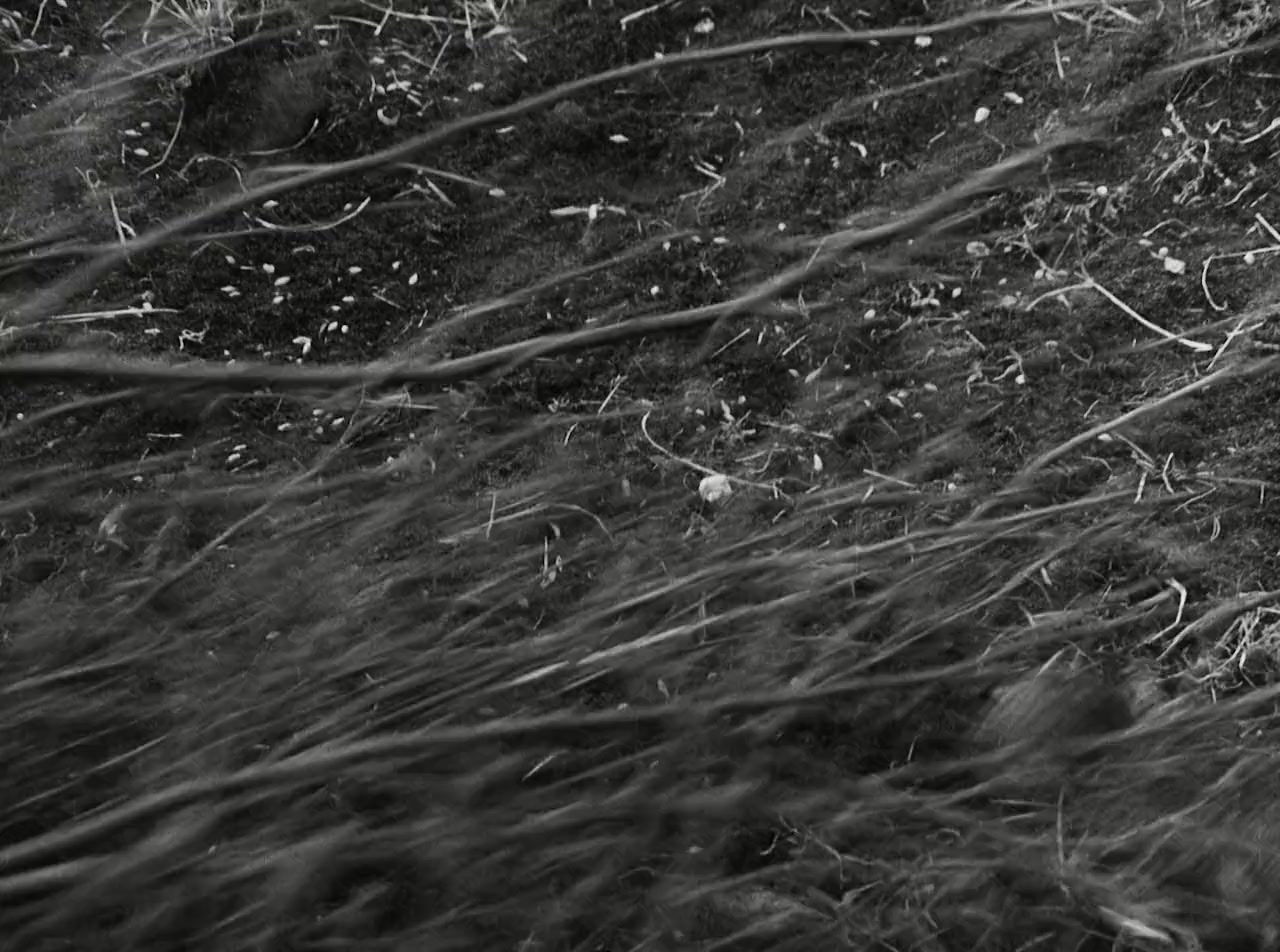 Winstanley screenshot 2