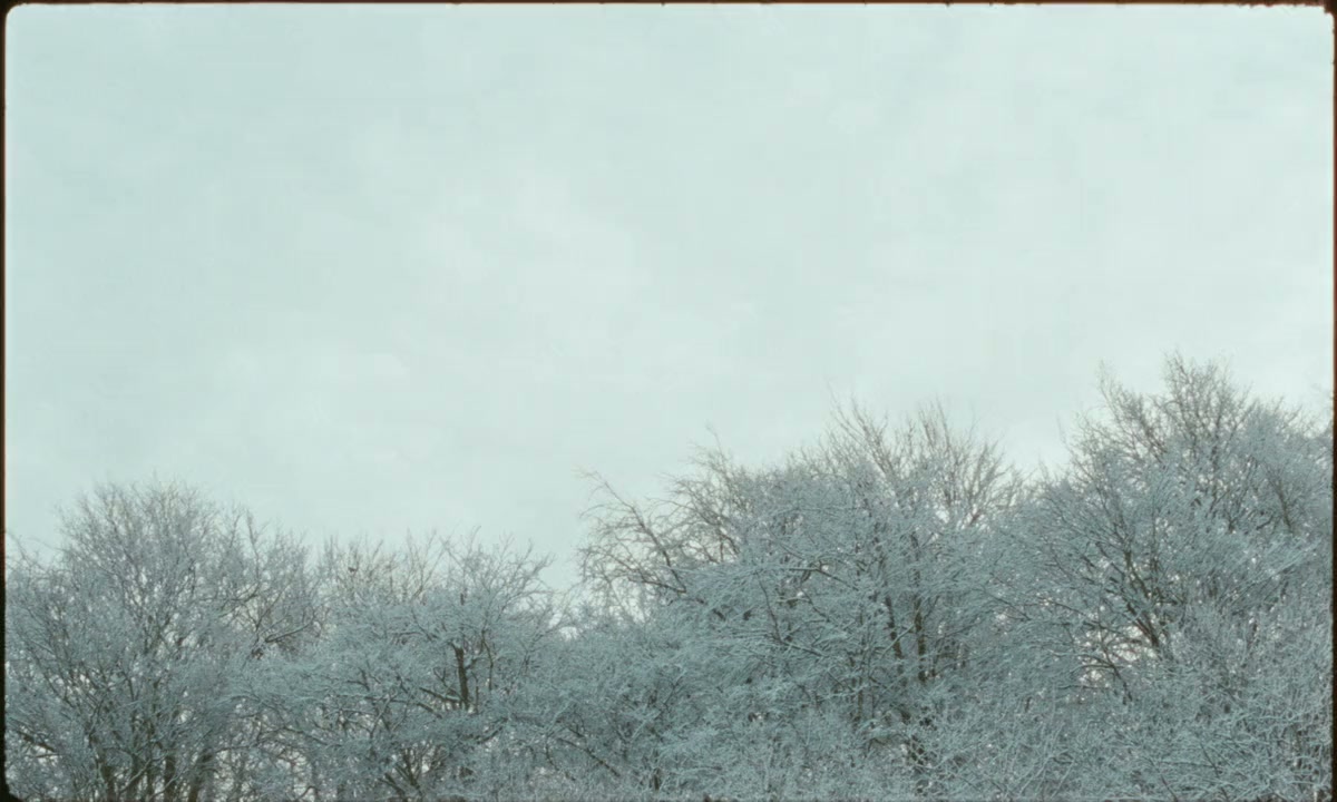 Vinterbrødre screenshot 3