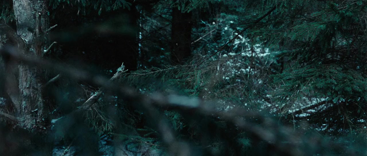 Oorlogswinter screenshot 3