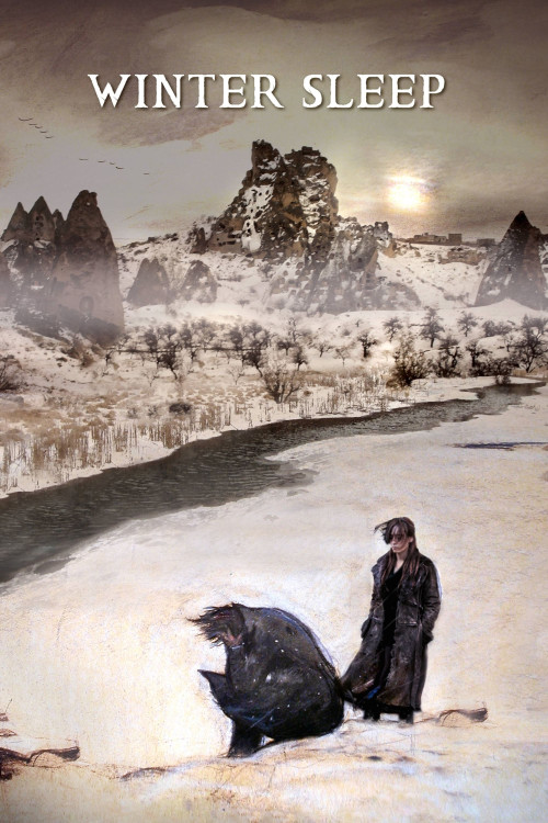 Kis Uykusu (2014) poster