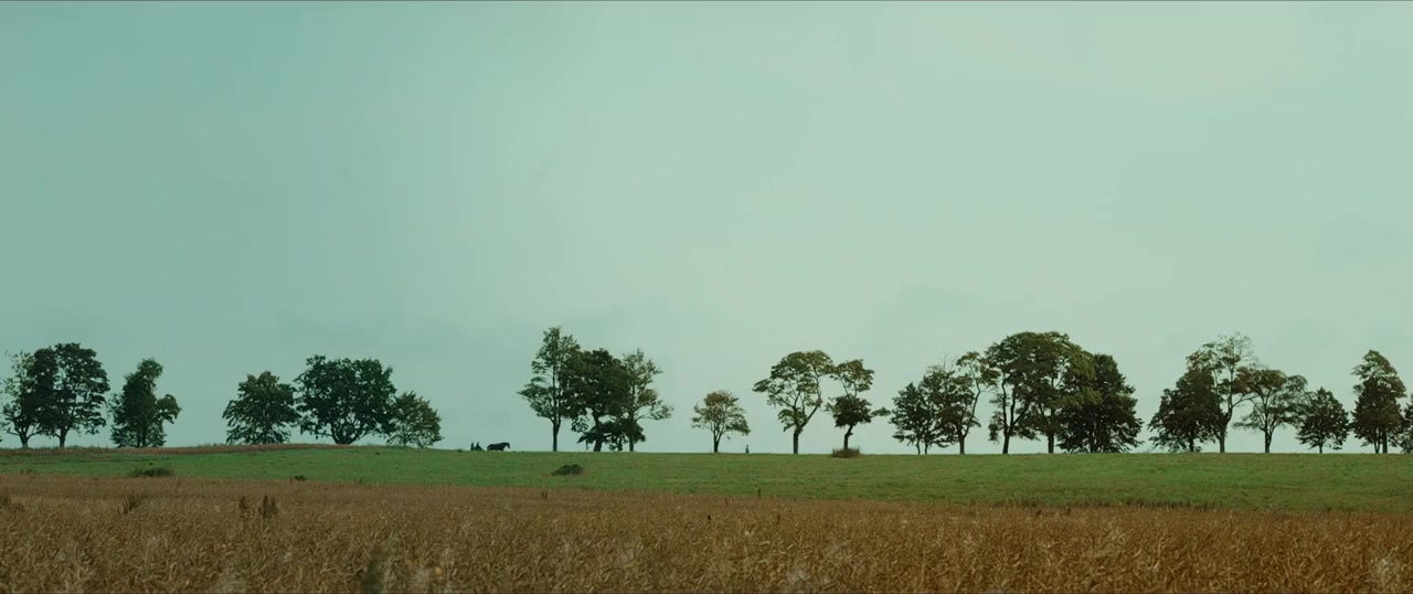 Talve screenshot 1