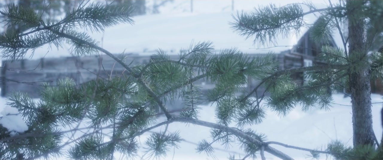 Winterskin screenshot 1