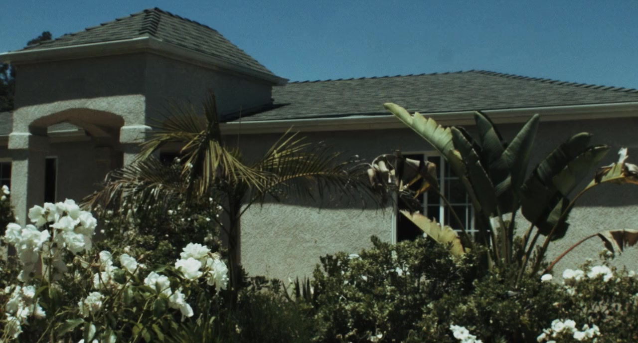 Wishing for a Dream screenshot 1