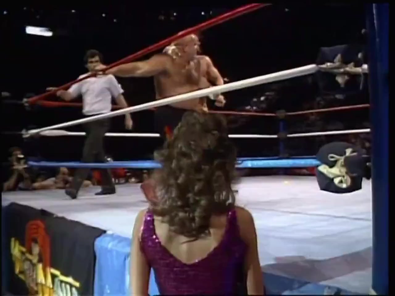WrestleMania 2 screenshot 2