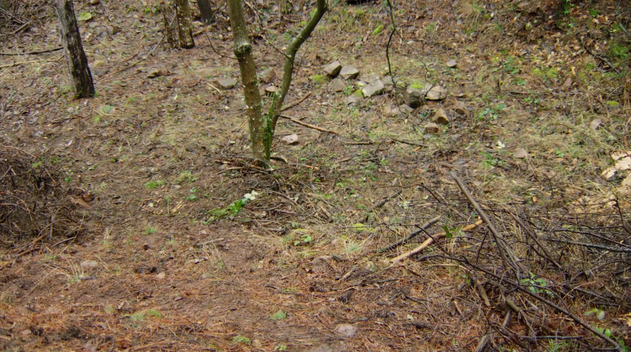 Wrong Turn VI screenshot 1