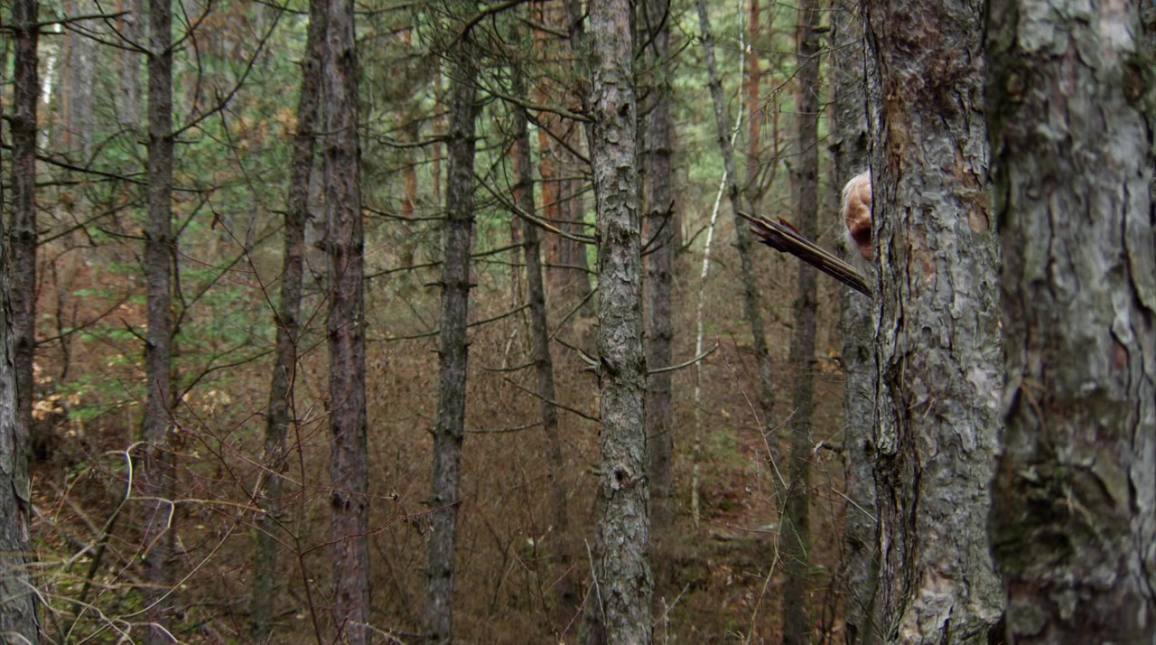 Wrong Turn VI screenshot 2