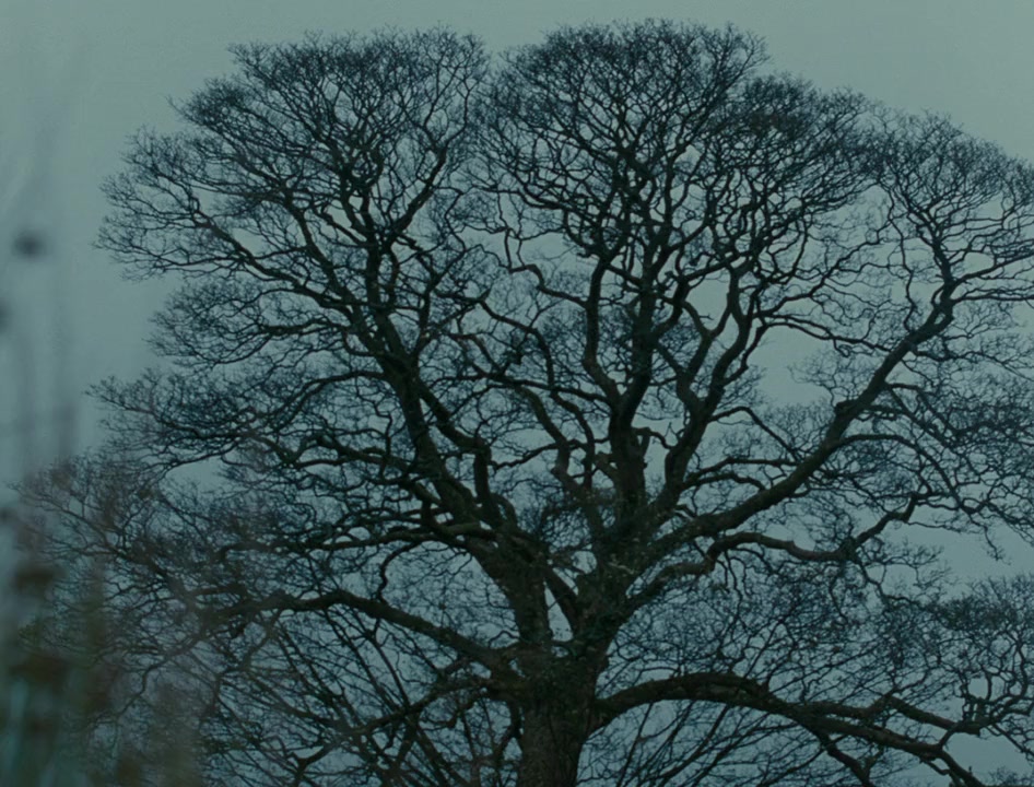 Wuthering Heights screenshot 1