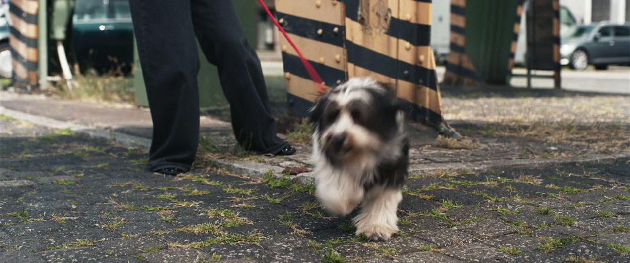 Wunderschöner screenshot 2