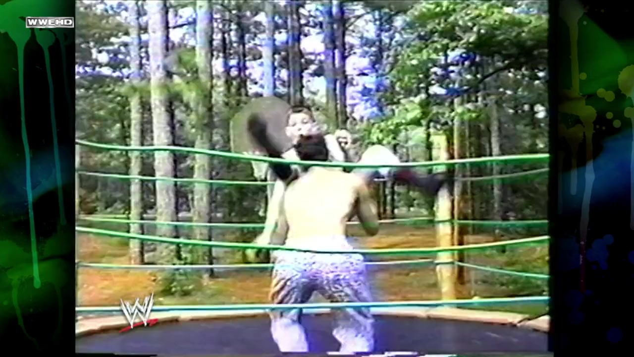 WWE: Twist of Fate - The Matt and Jeff Hardy Story screenshot 1