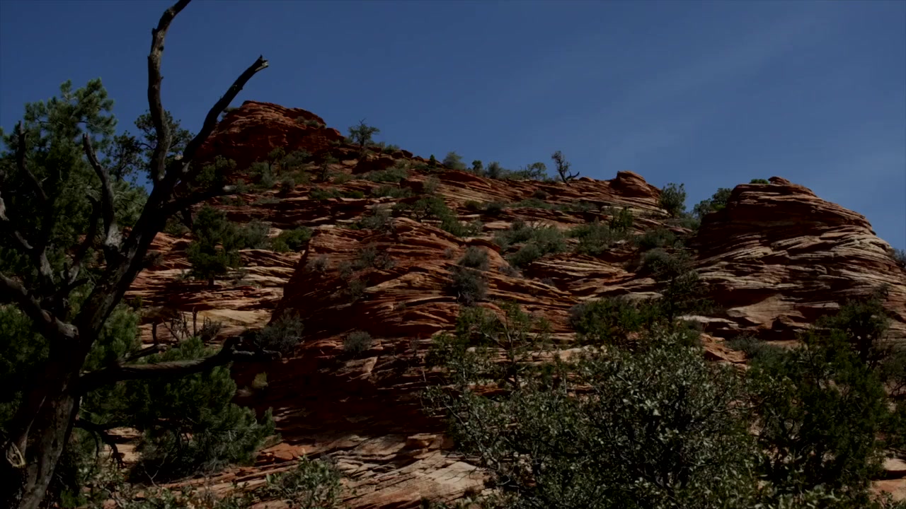 Wyatt Earp and Bass Reeves screenshot 2